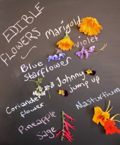 edible flowers