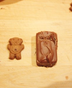 teddy choc