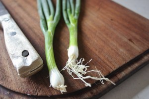 spring onions