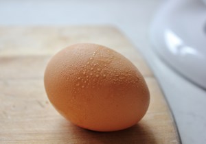 egg