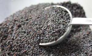 poppy seeds