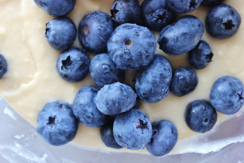 blueberries in batter