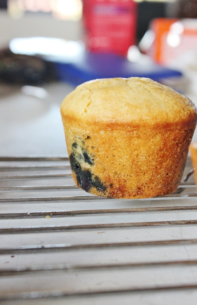 blueberry cupcake