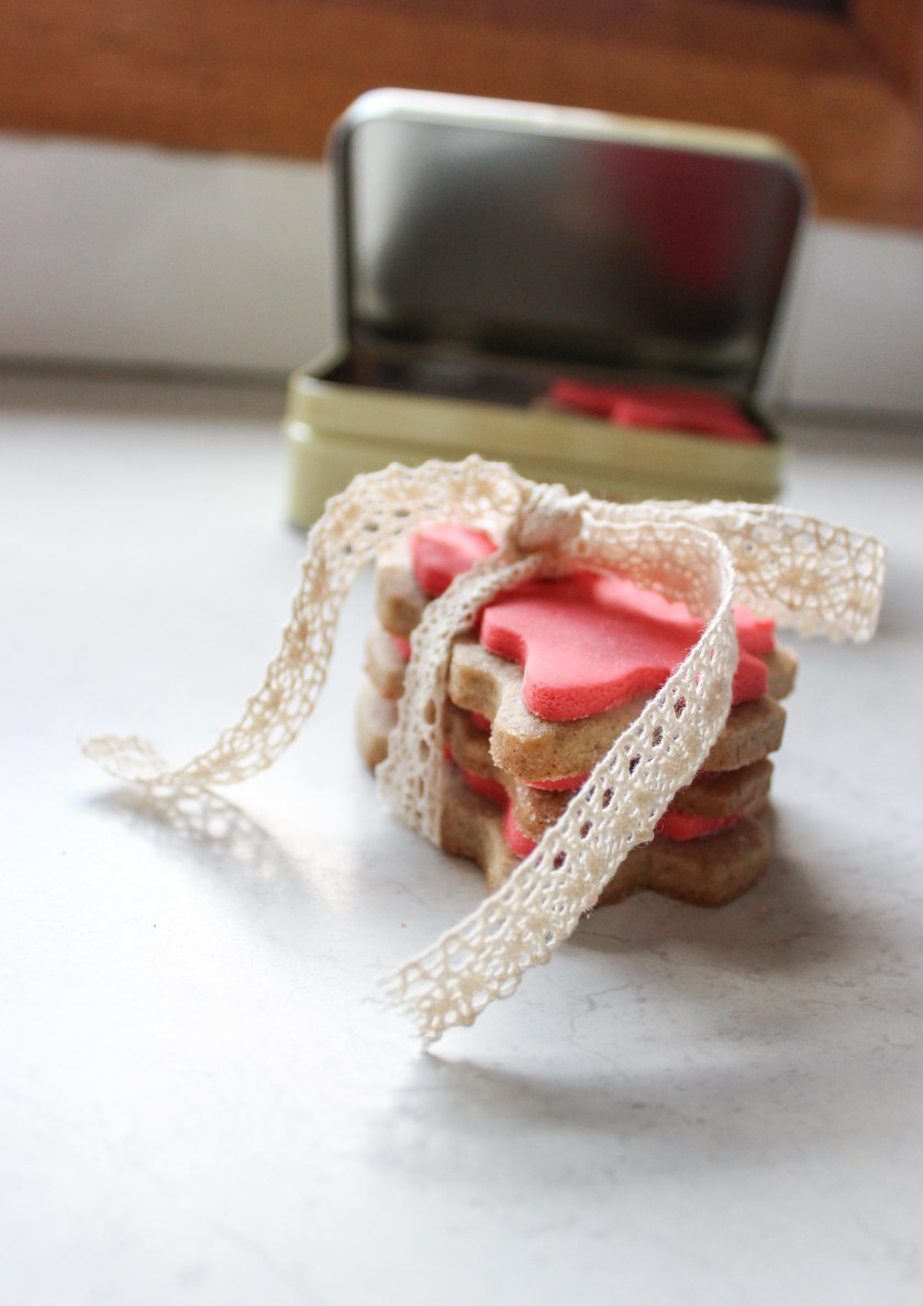 Christmas spice cookies with fondant (8 of 8)