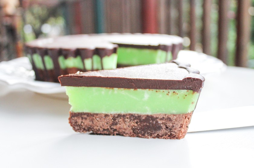 St Patrick's day mint chocolate slice (4 of 9)