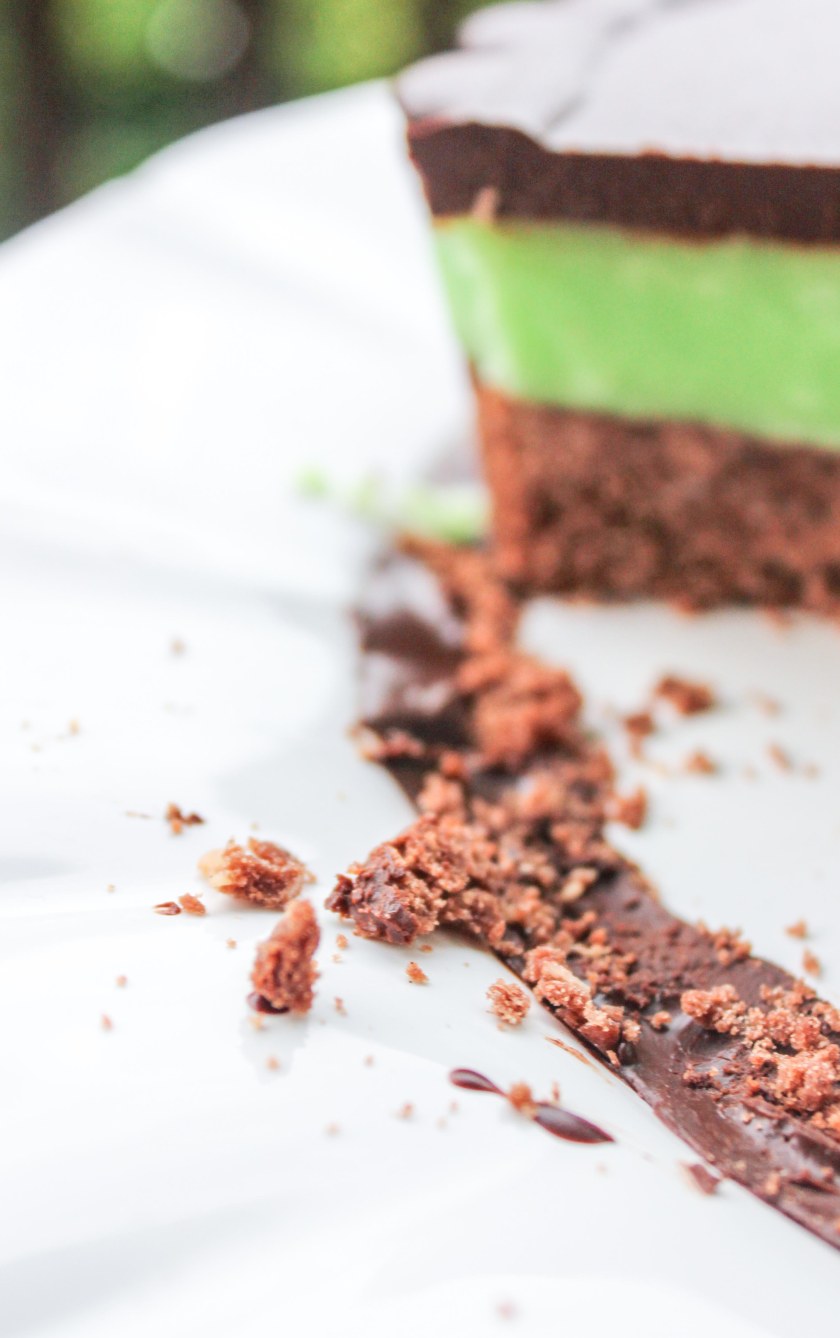 St Patrick's day mint chocolate slice (9 of 9)