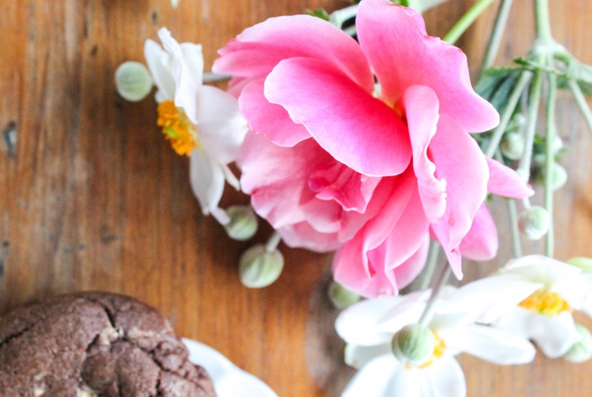 Chocolate peanut butter cookies (6 of 14)